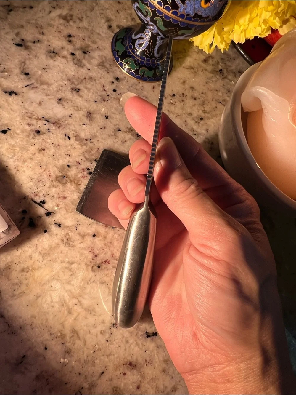 Stainless Steel Cheese Knife and Spreader Set of two